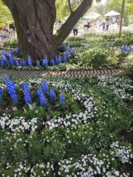 DSC_0581-e1684315131289